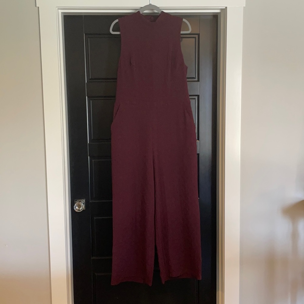 NWT!  Gorgeous Anthropologie jumpsuit.  Size Large.  Beautiful Plum Color.